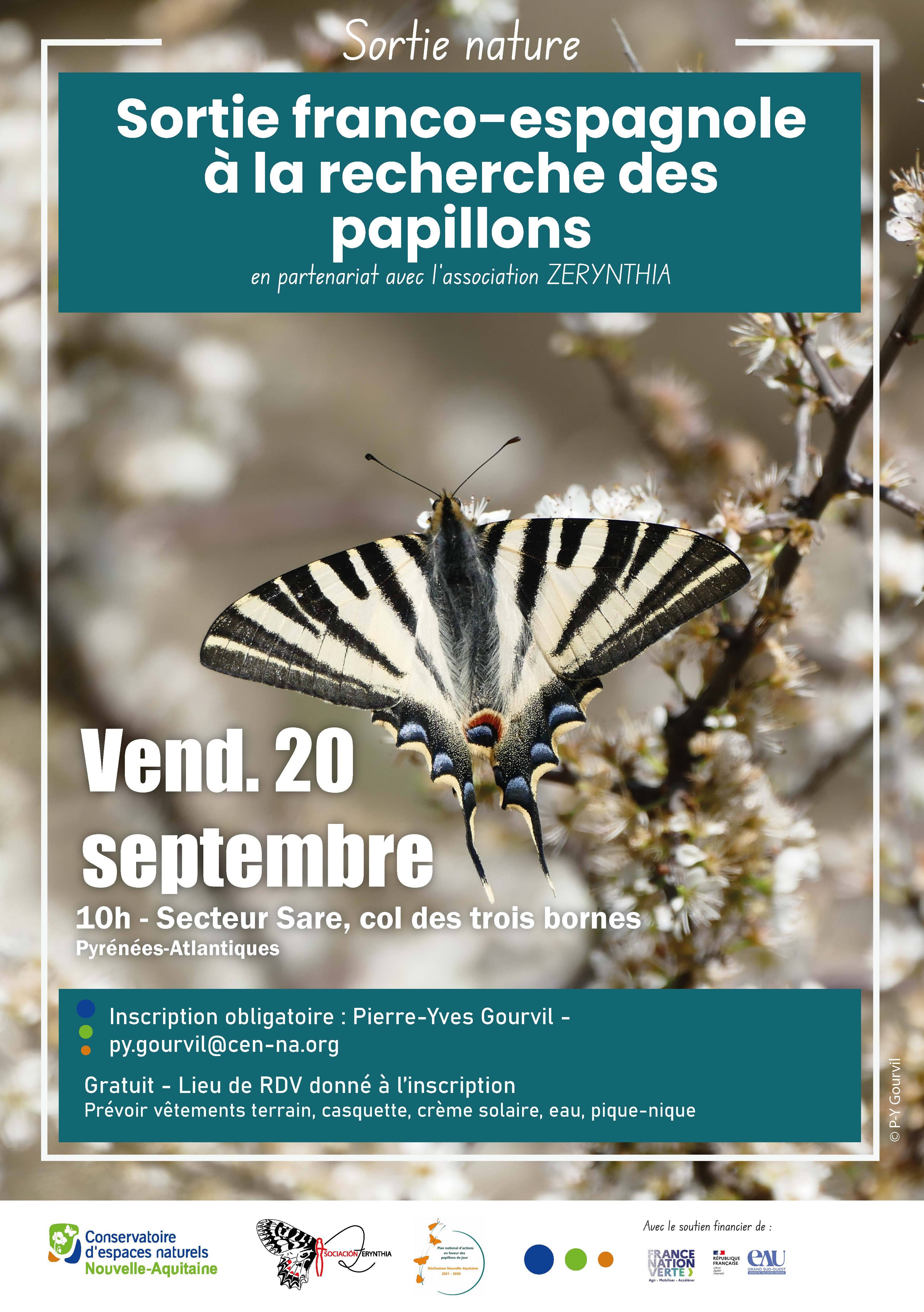 sortie papillons 2024